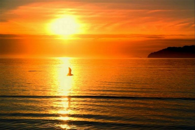 Photo of property in 13 Puka Place, Mahia, 4198