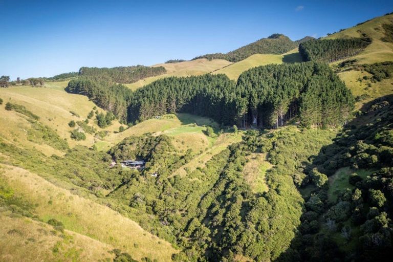 Photo of property in 380 Whaanga Road, Raglan, 3297
