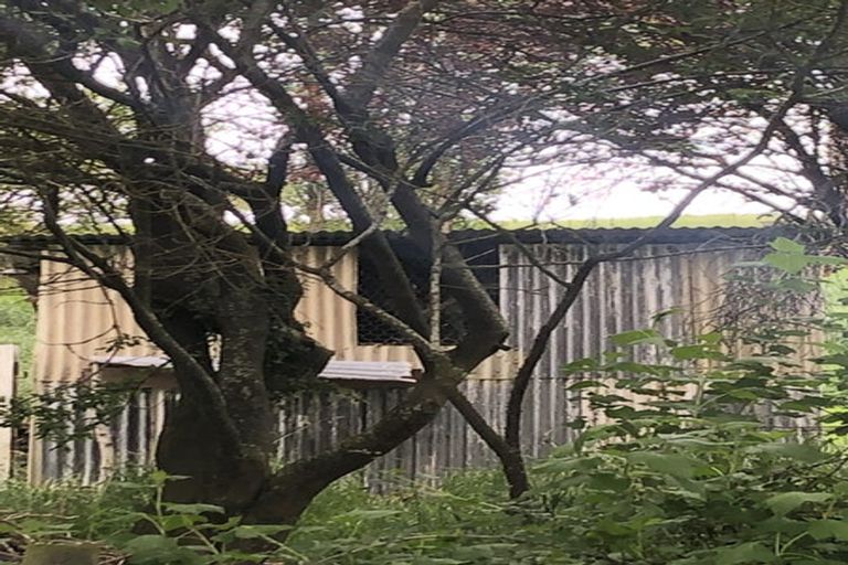 Photo of property in 624 Kyeburn-hyde Road, Kokonga, Ranfurly, 9397