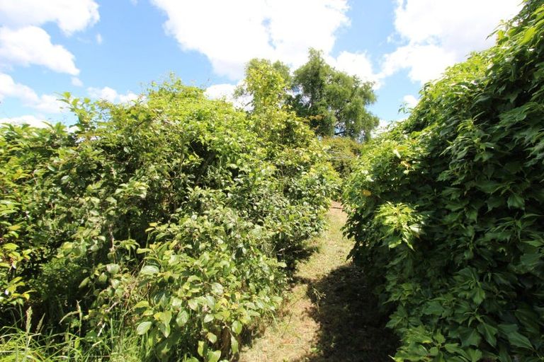 Photo of property in 79 Thompsons Road, Pahiatua, 4982