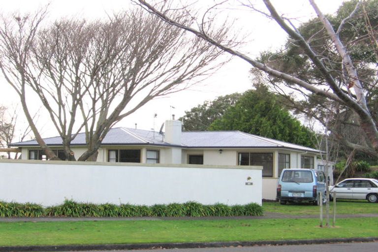 Photo of property in 115 Fitzroy Street, Terrace End, Palmerston North, 4410