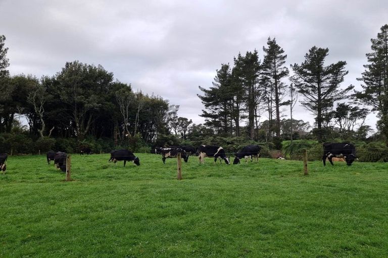 Photo of property in 1225 Frankley Road, Hurworth, New Plymouth, 4371