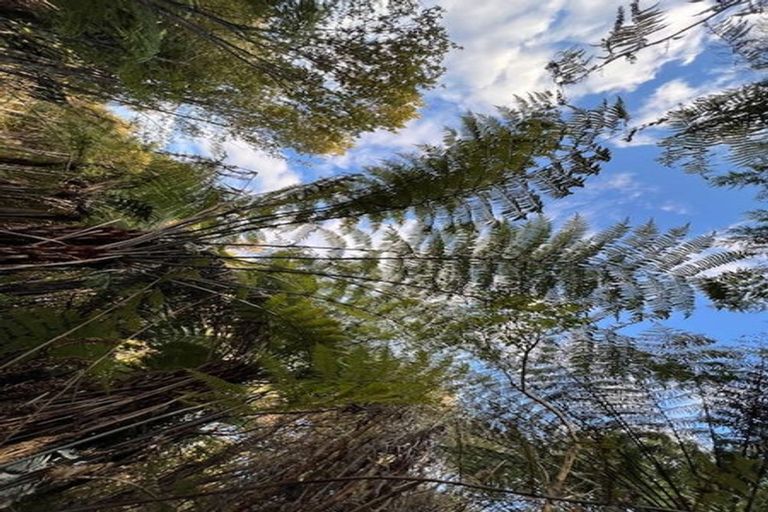 Photo of property in 211 Krippner Road, Puhoi, Warkworth, 0994