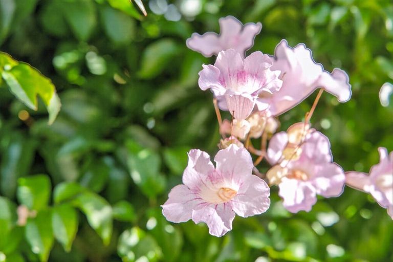 Photo of property in 311 Franklin Road, Paparoa, 0571