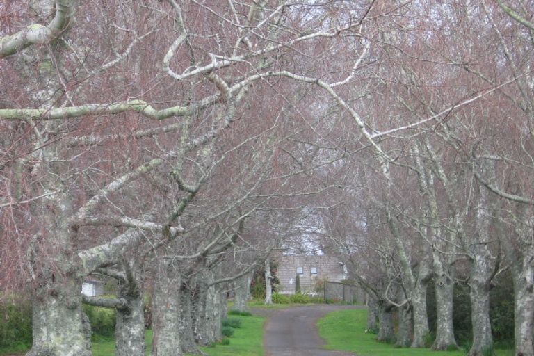 Photo of property in 9 Kings Avenue, Matua, Tauranga, 3110