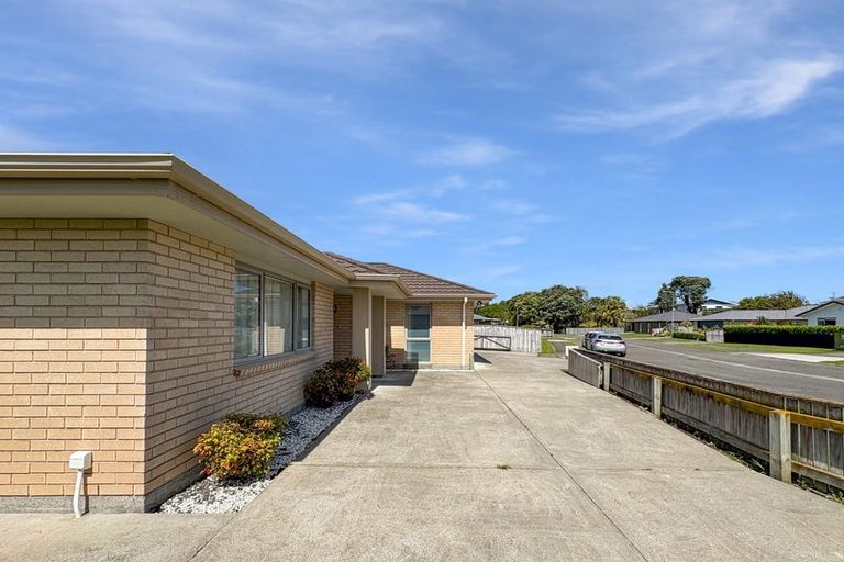 Photo of property in 8 Buckingham Place, Springvale, Whanganui, 4501