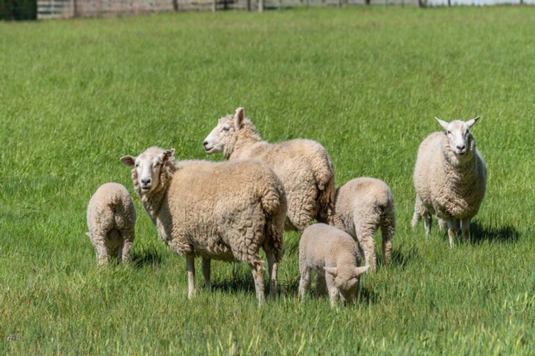 Photo of property in 864 Clintons Road, Charing Cross, Christchurch, 7671