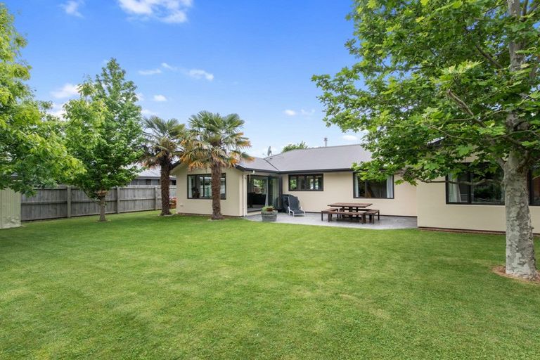 Photo of property in 15 Waipuna Street, Mayfield, Blenheim, 7201