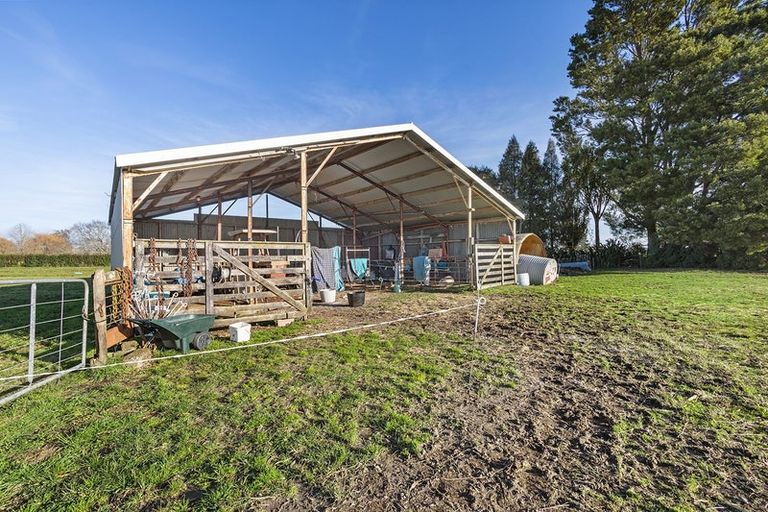 Photo of property in 37 Tarr Road, Ohaupo, 3881