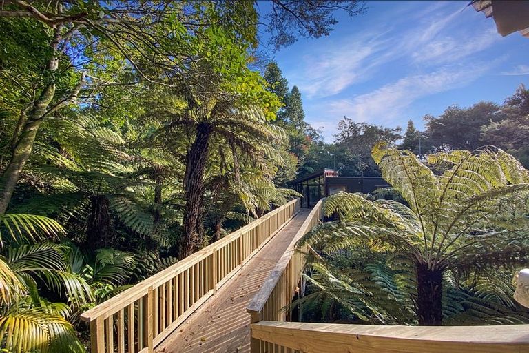 Photo of property in 221 Titirangi Road, Titirangi, Auckland, 0604