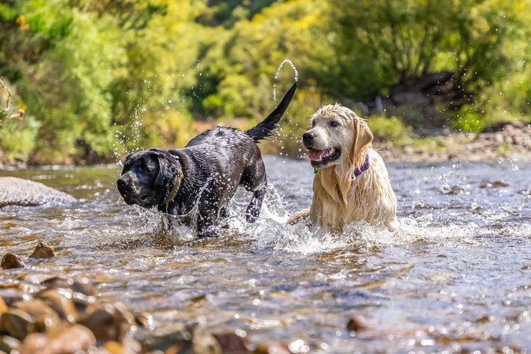 Photo of property in 64c Kaitoke Waterworks Road, Kaitoke, Upper Hutt, 5018