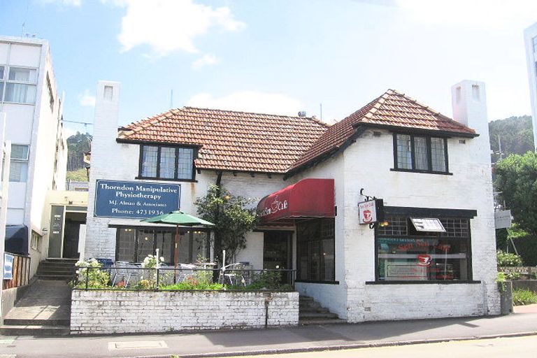 Photo of property in 115 Molesworth Street, Thorndon, Wellington, 6011