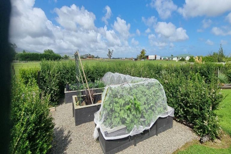 Photo of property in 152 Gladstone Road, Levin, 5571