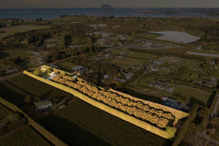 Photo of property in 27 Paparoa Road, Te Puna, Tauranga, 3174