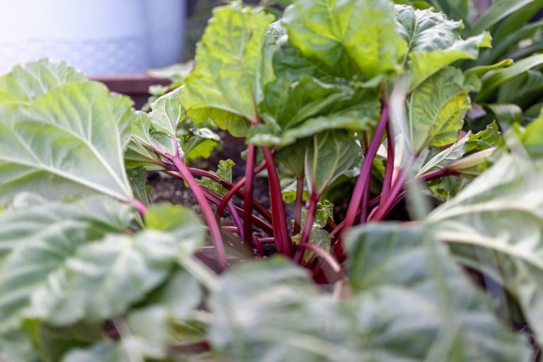 Photo of property in 5 Wharemauku Road, Raumati Beach, Paraparaumu, 5032