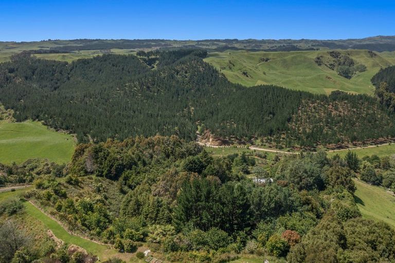 Photo of property in 320b Pikowai Road, Pikowai, Whakatane, 3194