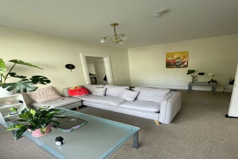 Photo of property in 103 Coromandel Street, Newtown, Wellington, 6021
