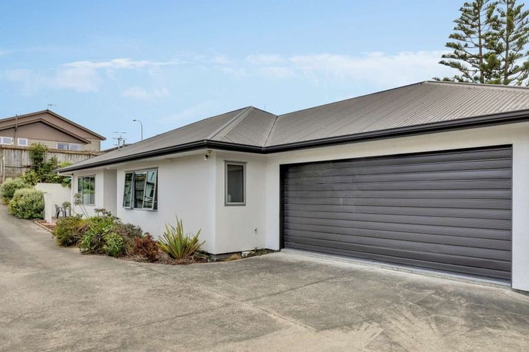 Photo of property in 604a Ferguson Street, Terrace End, Palmerston North, 4410