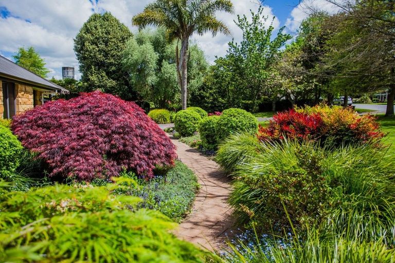 Photo of property in 348 Lake View Drive, Karapiro, Cambridge, 3494