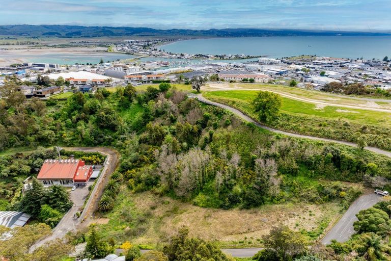 Photo of property in 36 Main Street, Hospital Hill, Napier, 4110