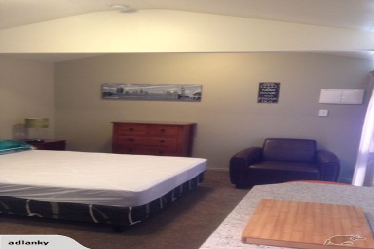 Photo of property in 44 Olliviers Road, Phillipstown, Christchurch, 8011