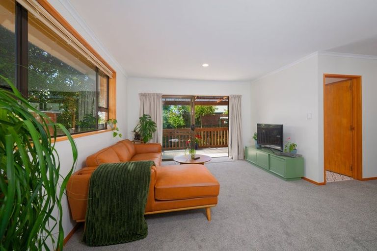 Photo of property in 283b Scarborough Street, Kaikoura, 7300