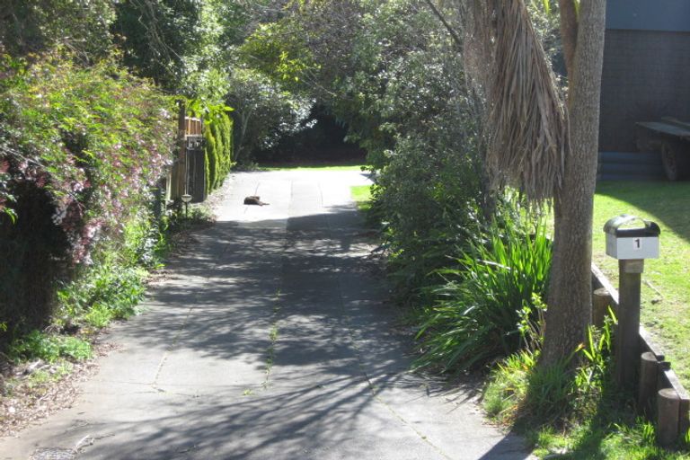 Photo of property in 1 Tudor Rise, Whakatane, 3120