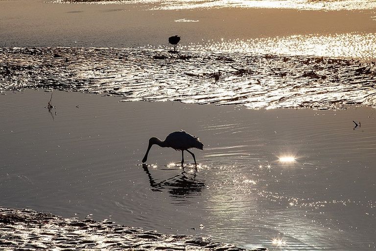 Photo of property in 14 Takahe Drive, Paraparaumu Beach, Paraparaumu, 5032