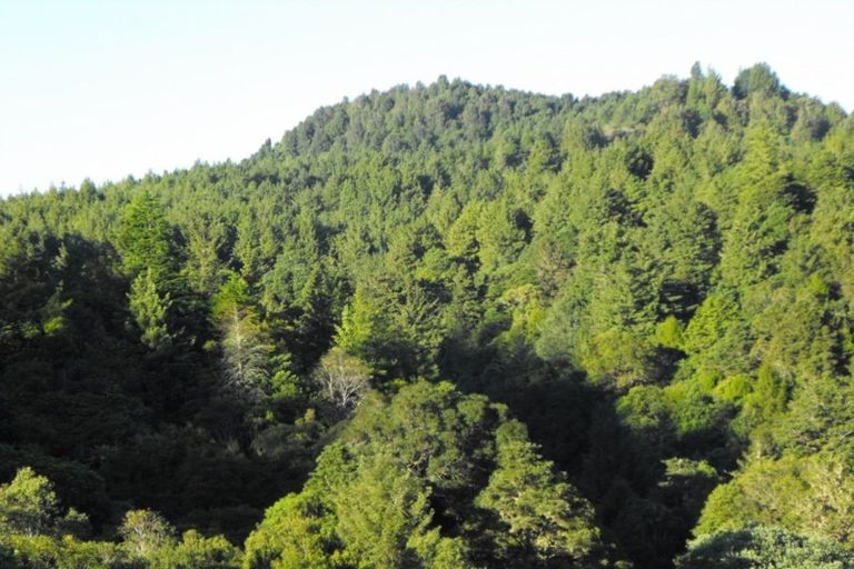 Photo of property in 1979 Ongarue Stream Road, Waimiha, 3998