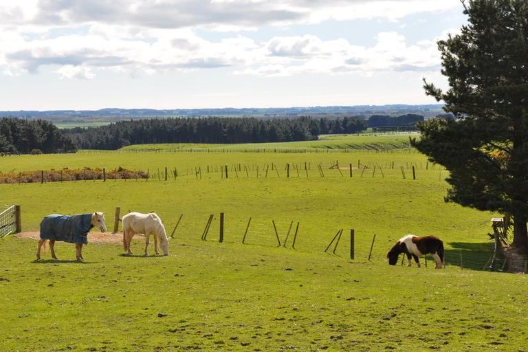 Photo of property in 376c Scotts Road, Linton, Palmerston North, 4472