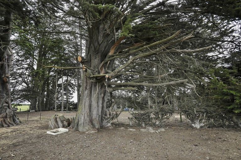 Photo of property in 1000 Lochiel-branxholme Road, Branxholme, Invercargill, 9874