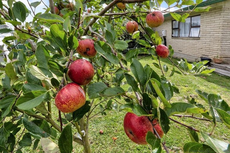 Photo of property in 56 Bailey Street, Huntly, 3700