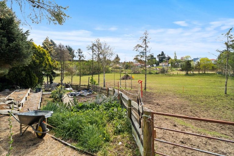 Photo of property in 3 Brough Street, Palmerston, 9430