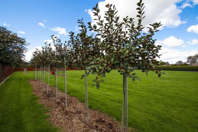 Photo of property in 9c Dalbeth Place, Matangi, Hamilton, 3284