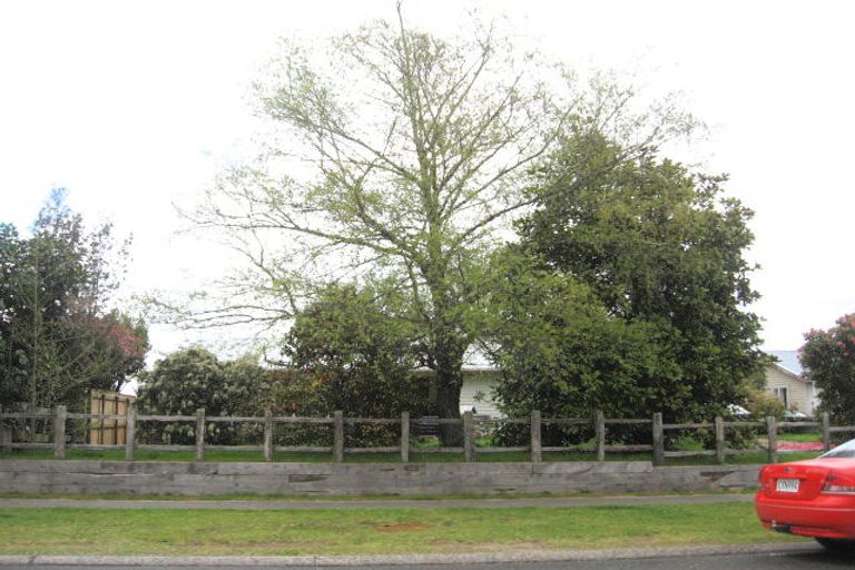 Photo of property in 39 Wheretia Street, Taupo, 3330