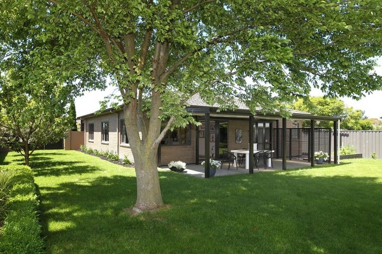 Photo of property in 103 Northwood Avenue, Mahora, Hastings, 4120