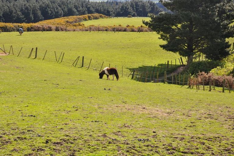 Photo of property in 376c Scotts Road, Linton, Palmerston North, 4472