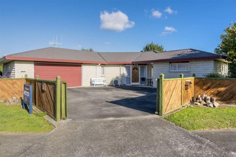 Photo of property in 17 Ryder Crescent, Levin, 5510