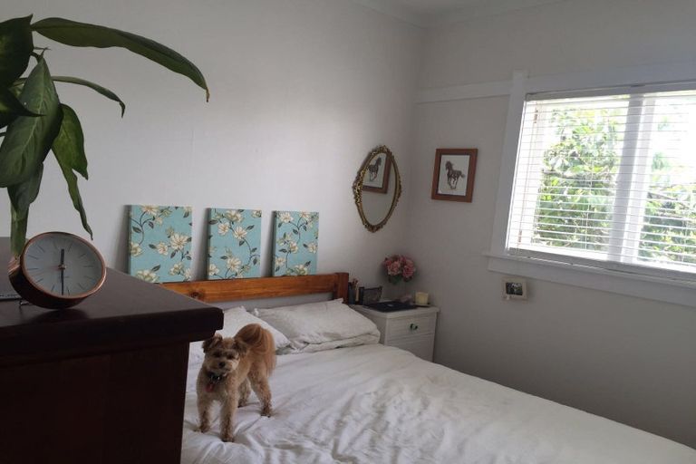 Photo of property in 1/7 Nile Road, Milford, Auckland, 0620