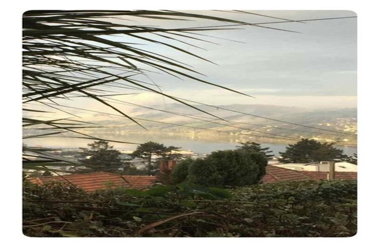 Photo of property in 22 Erin Street, Roslyn, Dunedin, 9010