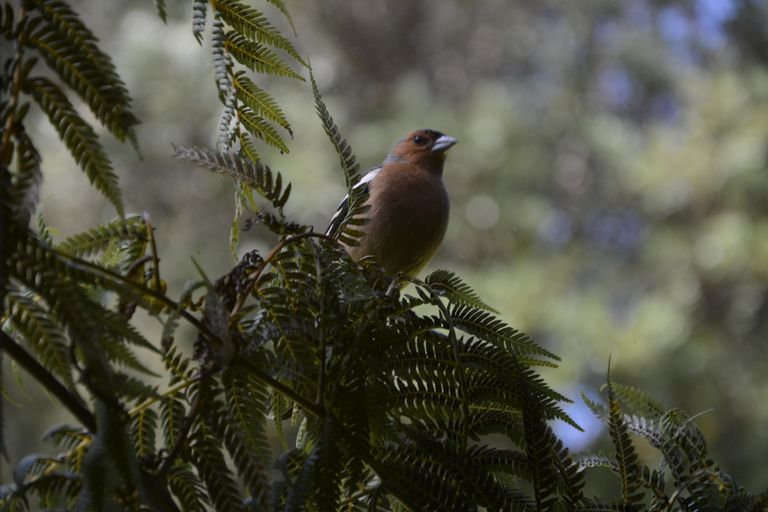 Photo of property in 10 Bosher Road, Wellsford, 0974