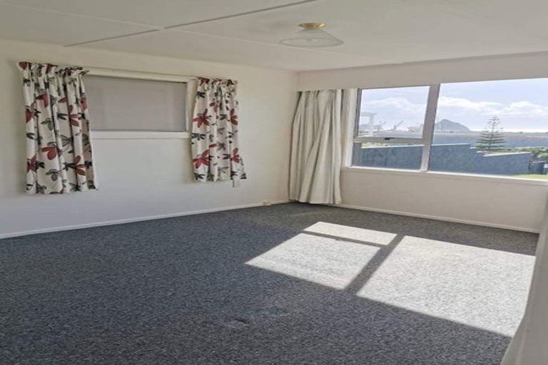 Photo of property in 44b Whiteley Street, Moturoa, New Plymouth, 4310