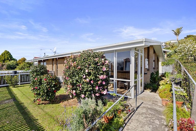 Photo of property in 20/1 Rimu Street, Strandon, New Plymouth, 4312