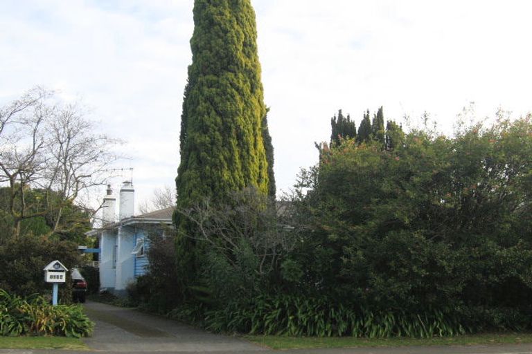 Photo of property in 1014 Frederick Street, Mahora, Hastings, 4120