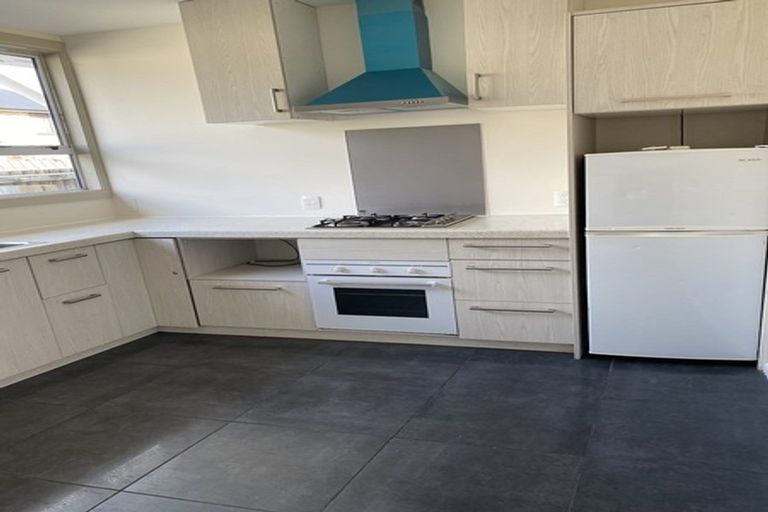 Photo of property in 33 Bordesley Street, Phillipstown, Christchurch, 8011