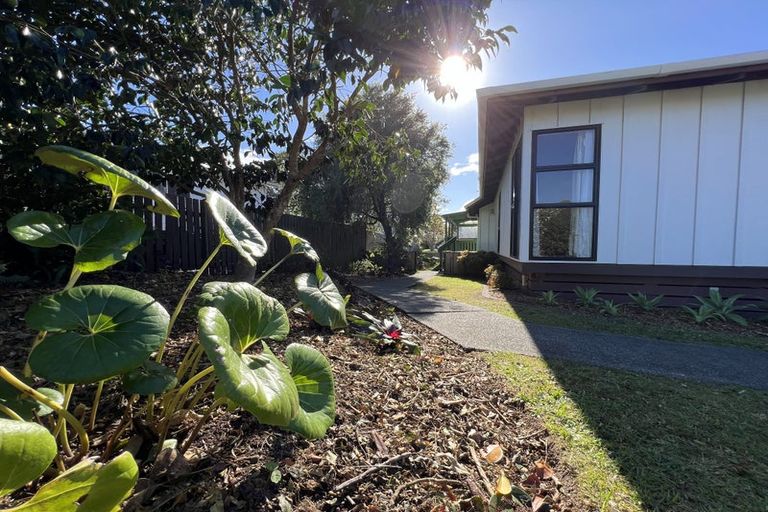 Photo of property in 16 Shearwater Street, One Tree Point, 0118