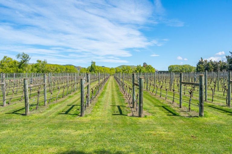 Photo of property in 1114 Omihi Road, Omihi, Amberley, 7483