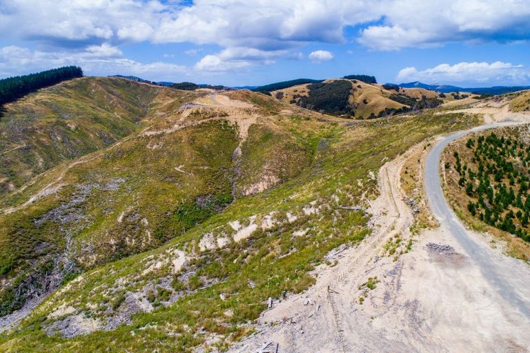 Photo of property in 3525 Masterton Castlepoint Road, Mangapakeha, Masterton, 5889