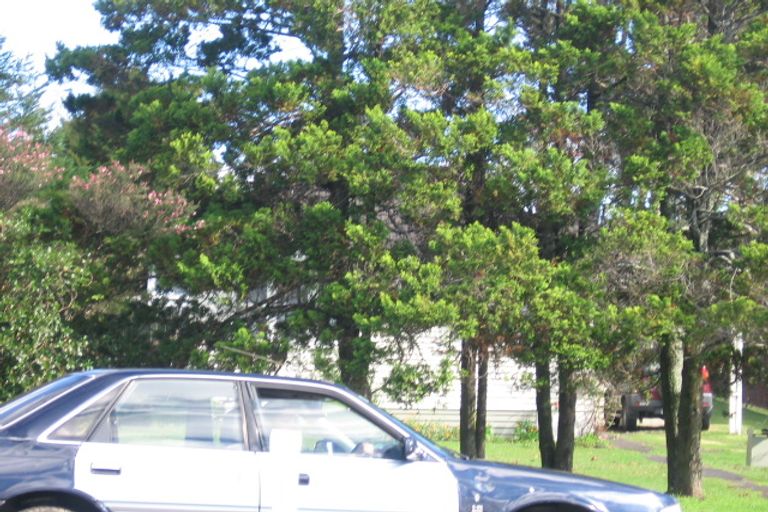 Photo of property in 318 Swanson Road, Henderson, Auckland, 0610