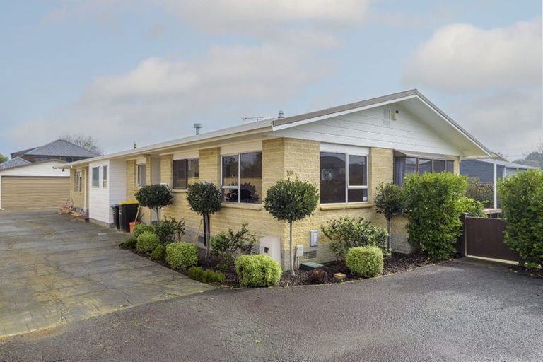 Photo of property in 70a Grey Street, Cambridge, 3434